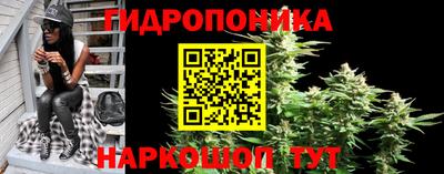 твердый Будённовск