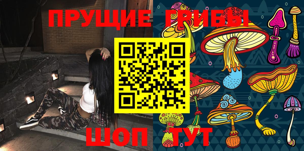 Тверь  Галлюциногенные грибы Cubensis  Вход с VPN 