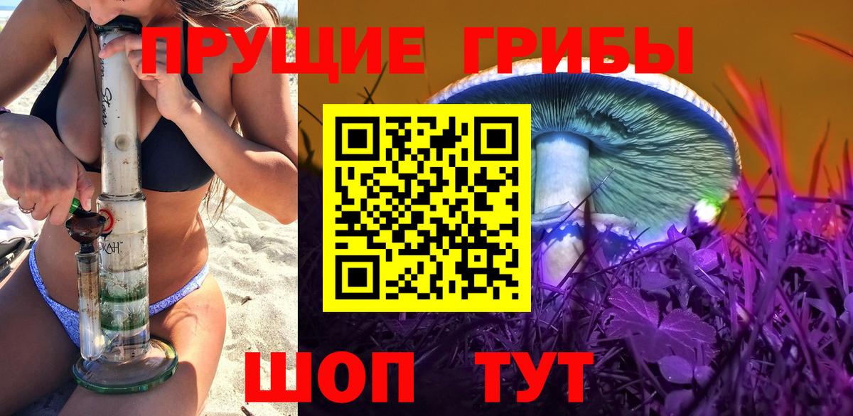 Галлюциногенные грибы мицелий Тверь